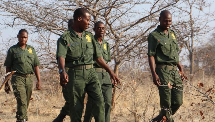 Conserving Zim’s wildlife