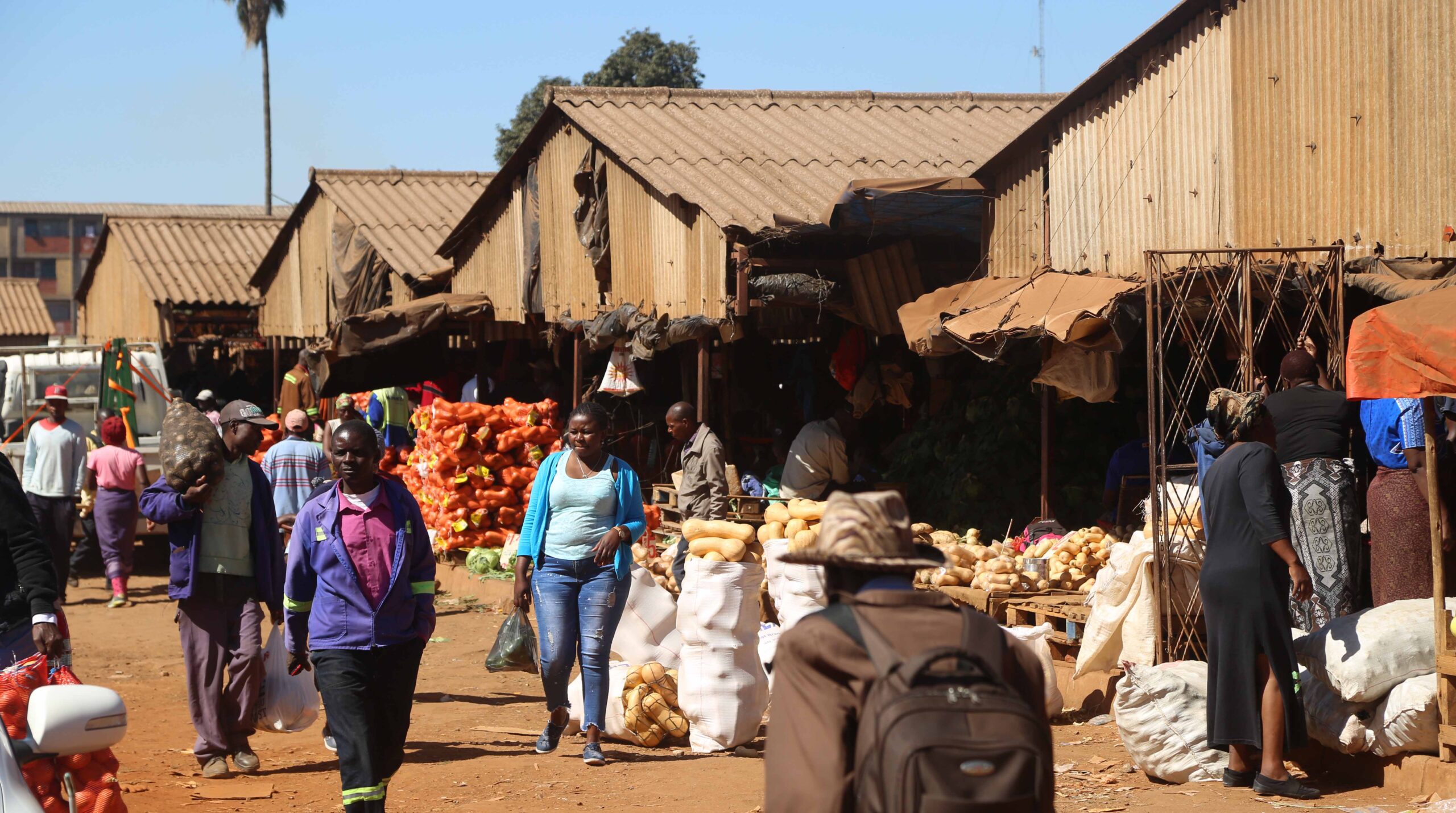 Mbare Musika, Siyaso a complete business cycle
