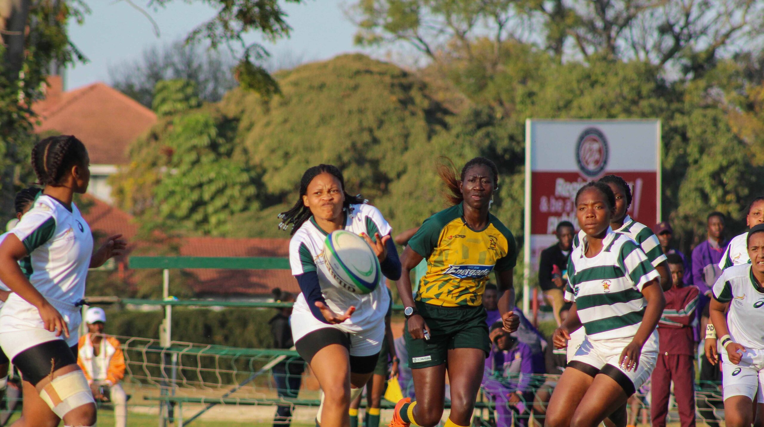 Zim go down yet again