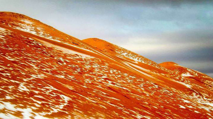 Strange tidbits from around the world