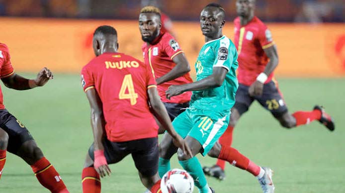  Cranes pay the price