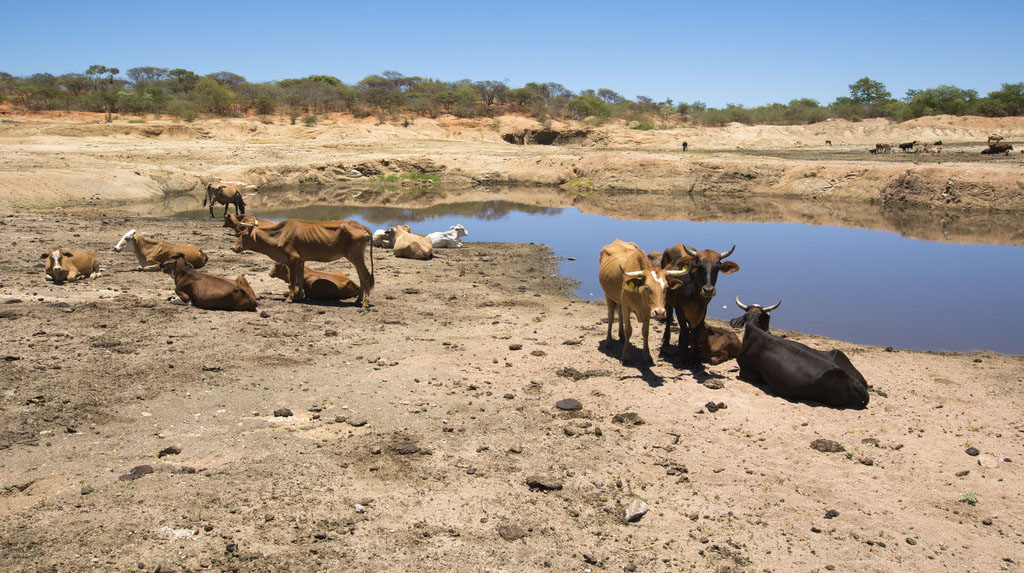 Climate change effects; Insurance could be the solution