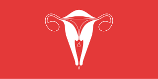 Let us end menstrual poverty