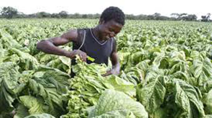 3m Zimbabweans employed: ZimStat