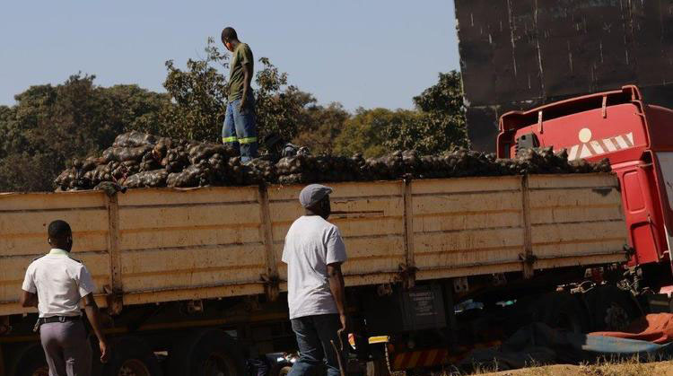 Forex auction restores hope