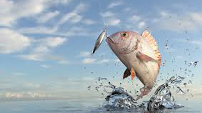 Let’s go fishing!
