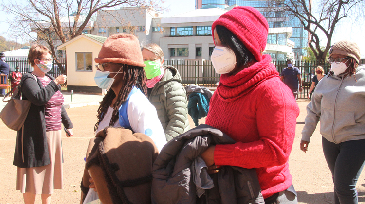 Arrested activists granted bail