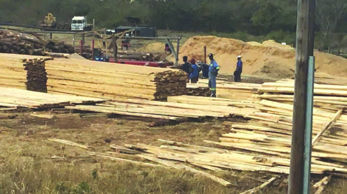 Value-added timber’s potential to boost exports