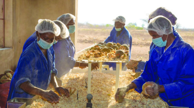 Exploring export opportunities for oils
