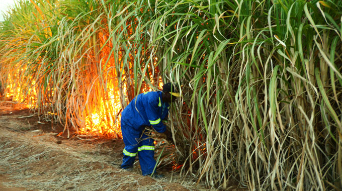 Agric sector workers get salary review