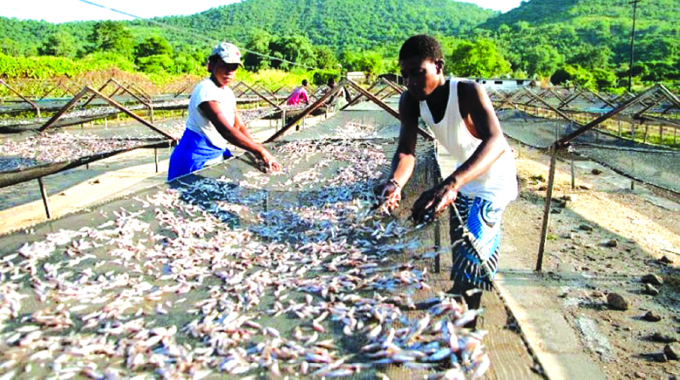 Managing fisheries sustainably at Lake Kariba