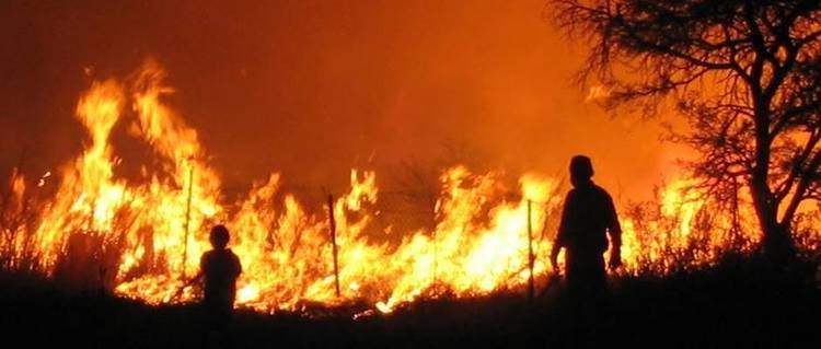 Pfumvudza preps douse veld fires