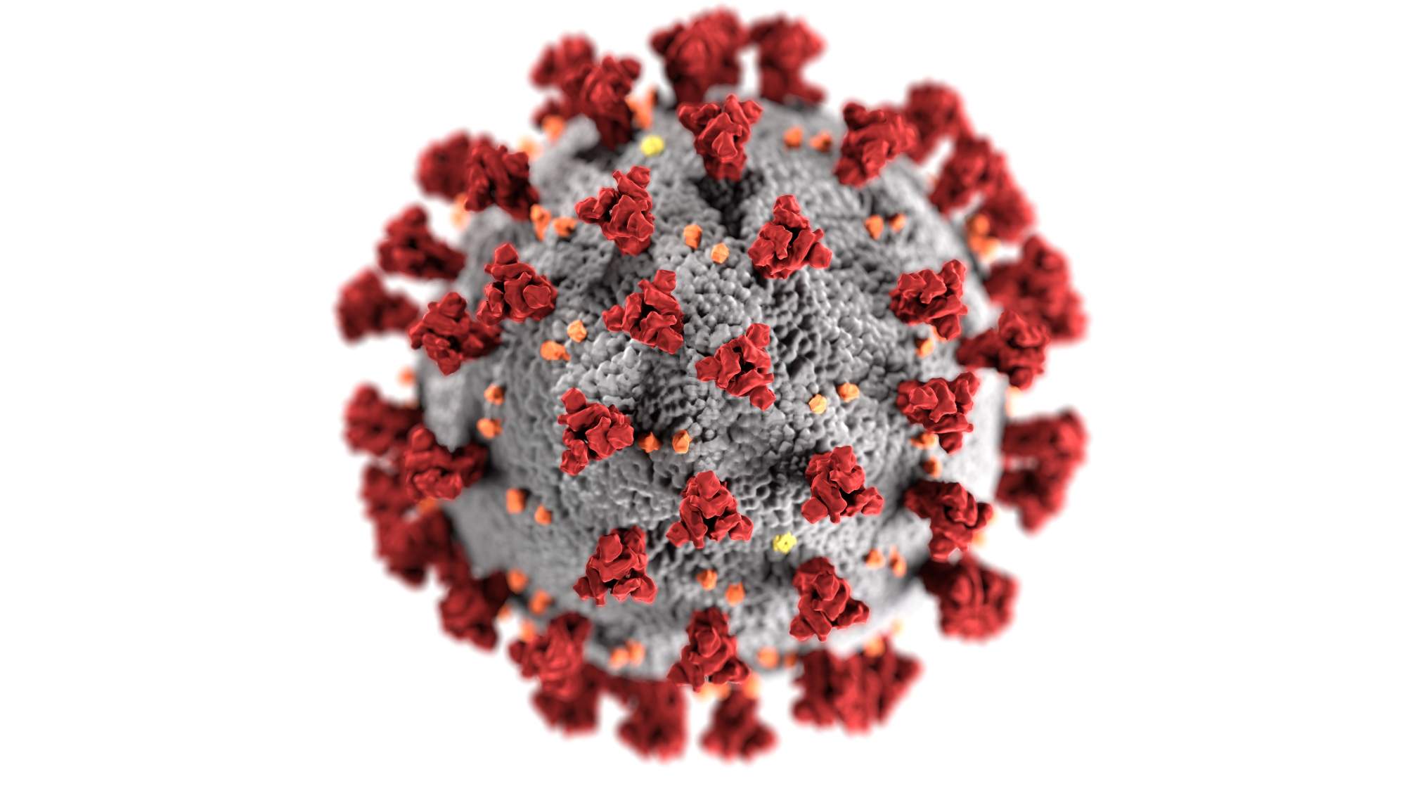 ‘Misconceptions around HIV and Covid-19’