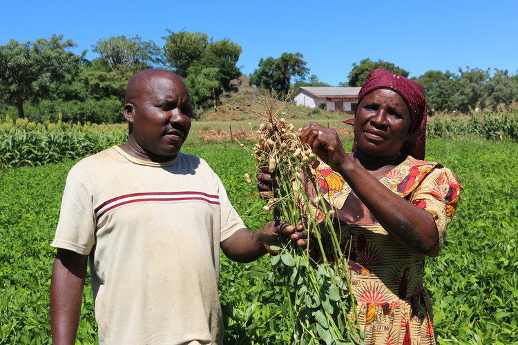Farming program charms villagers