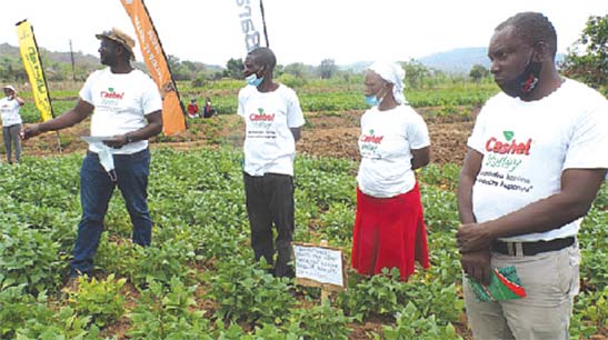 Life-changing scheme for Chimanimani
