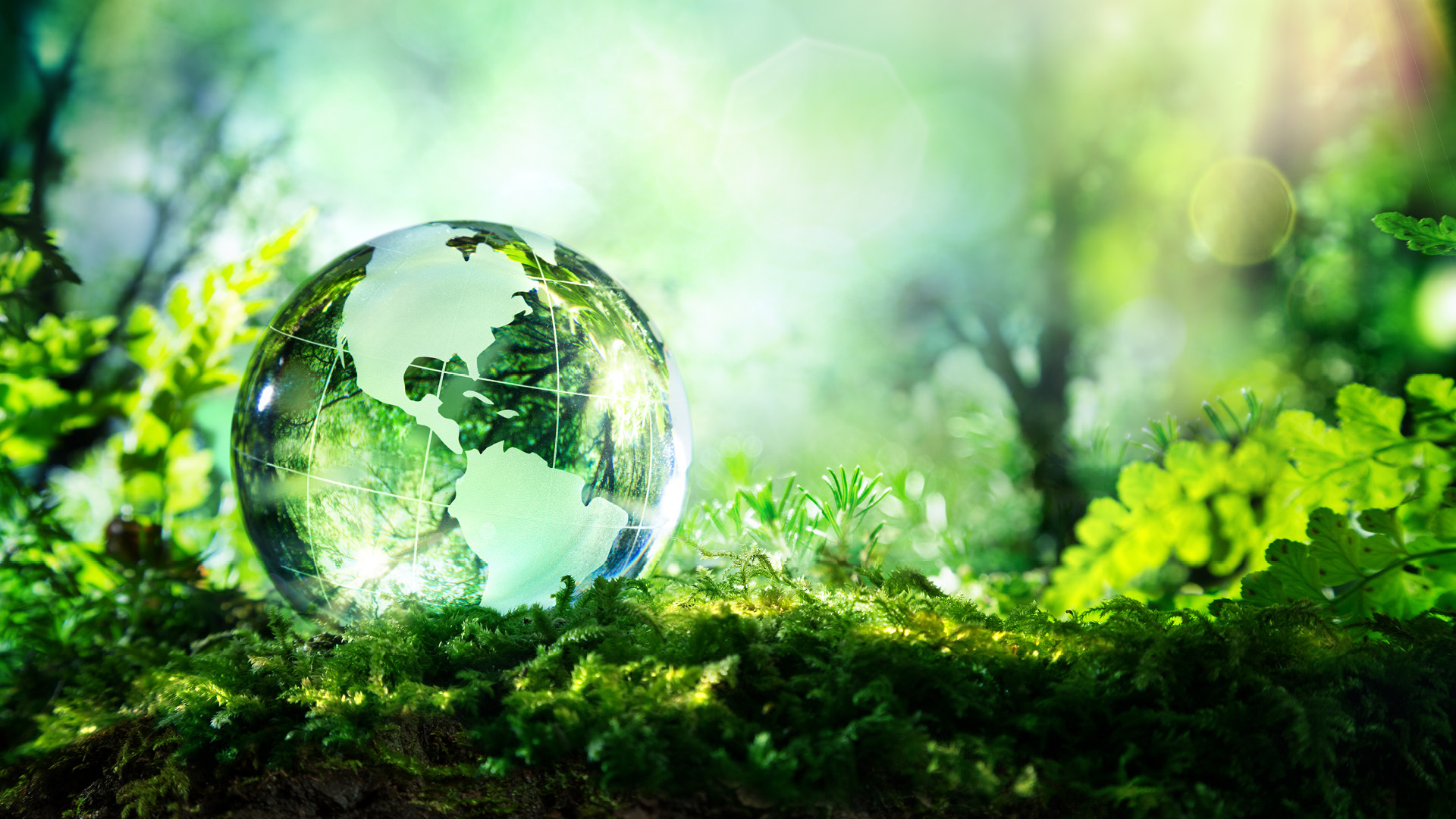 NEW: AAG UK in environment initiative
