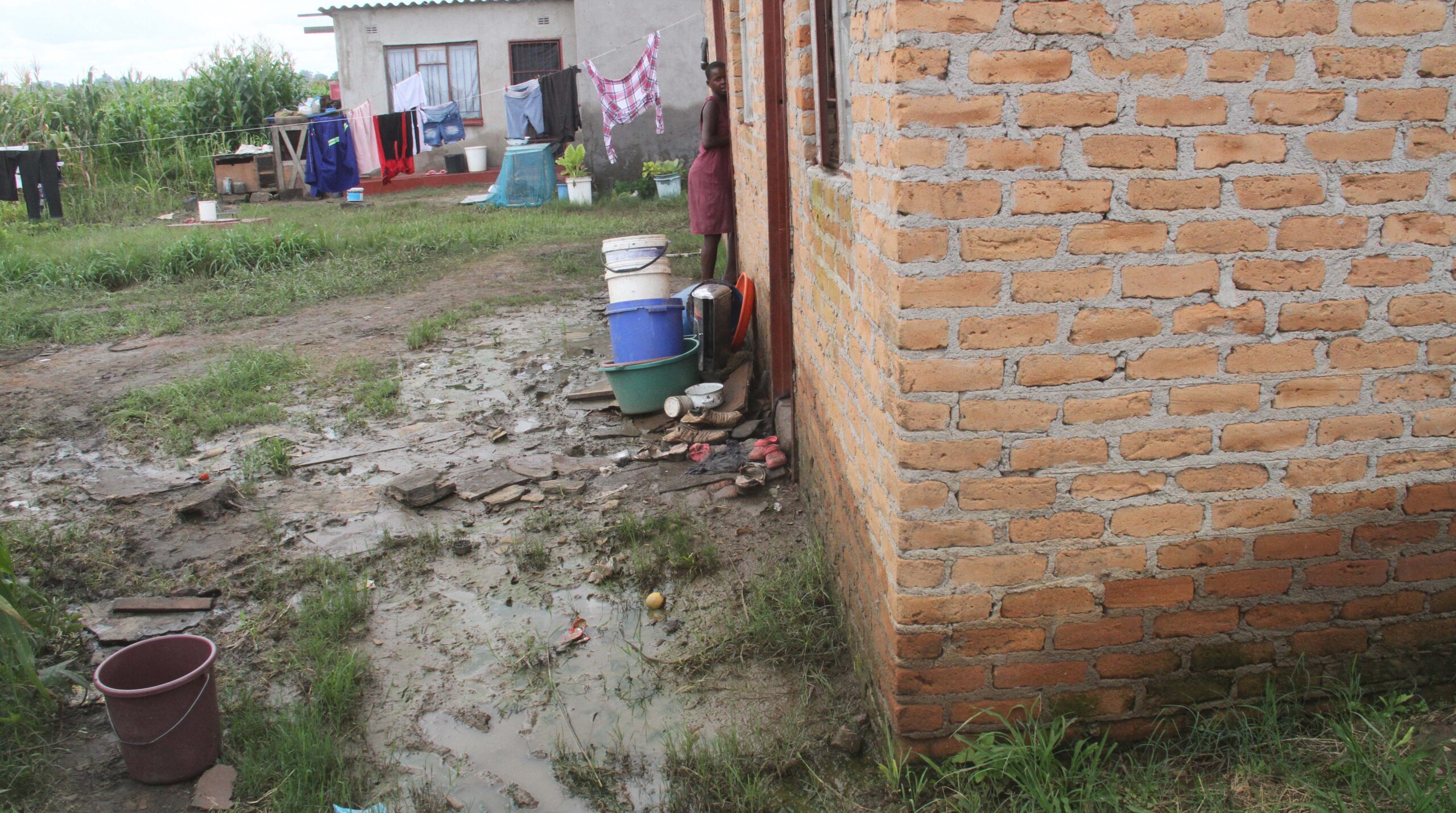 Unending nightmare for Budiriro wetland dwellers