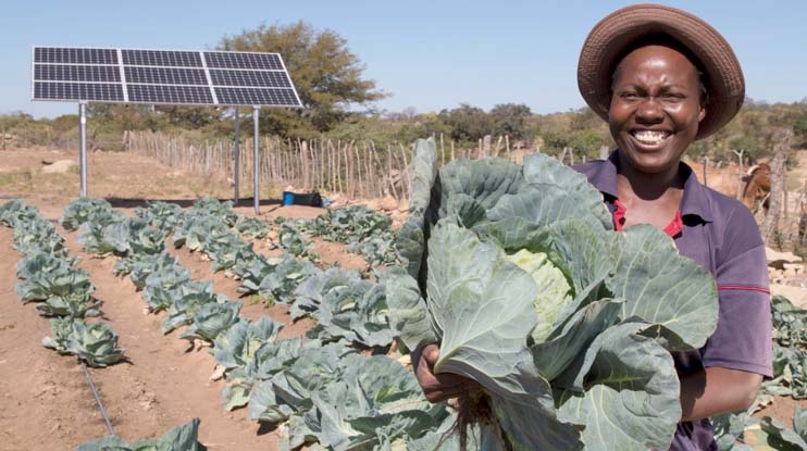 Govt targets solar power for horticulture