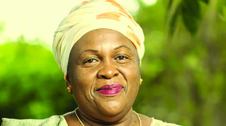 Zim candidate for top UN body ready for elections
