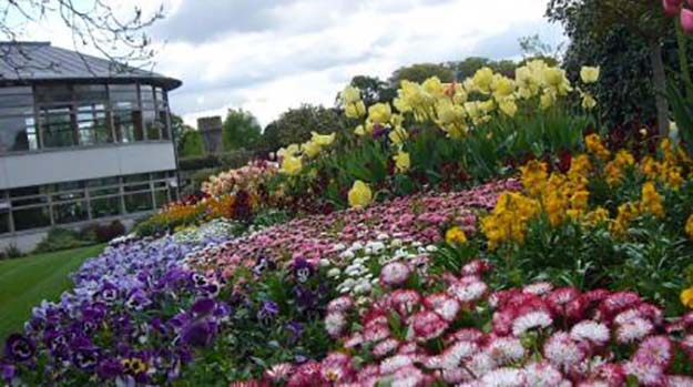 Feasting, refreshing at the Botanic Garden