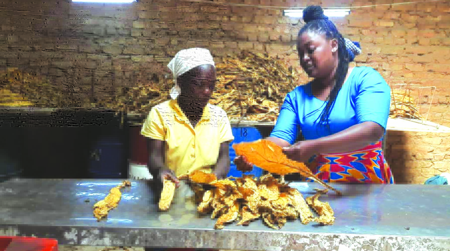 A determined farmer driven by passion