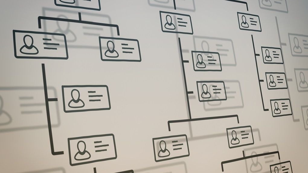 NEW: How to design an optimal organisational structure