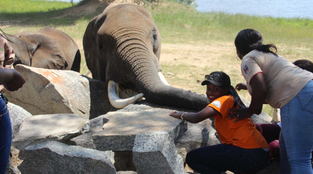 Domestic tourists save the day