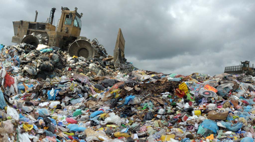 Pomona waste management project the best: Parliament