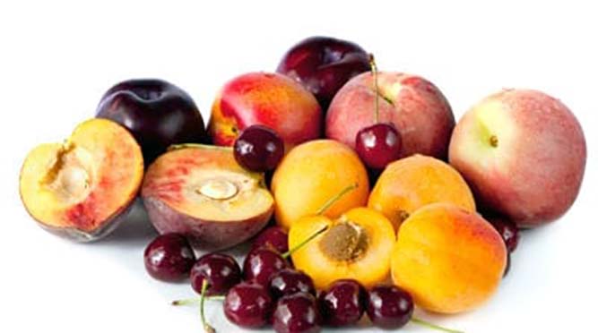 Export potential in stone fruits
