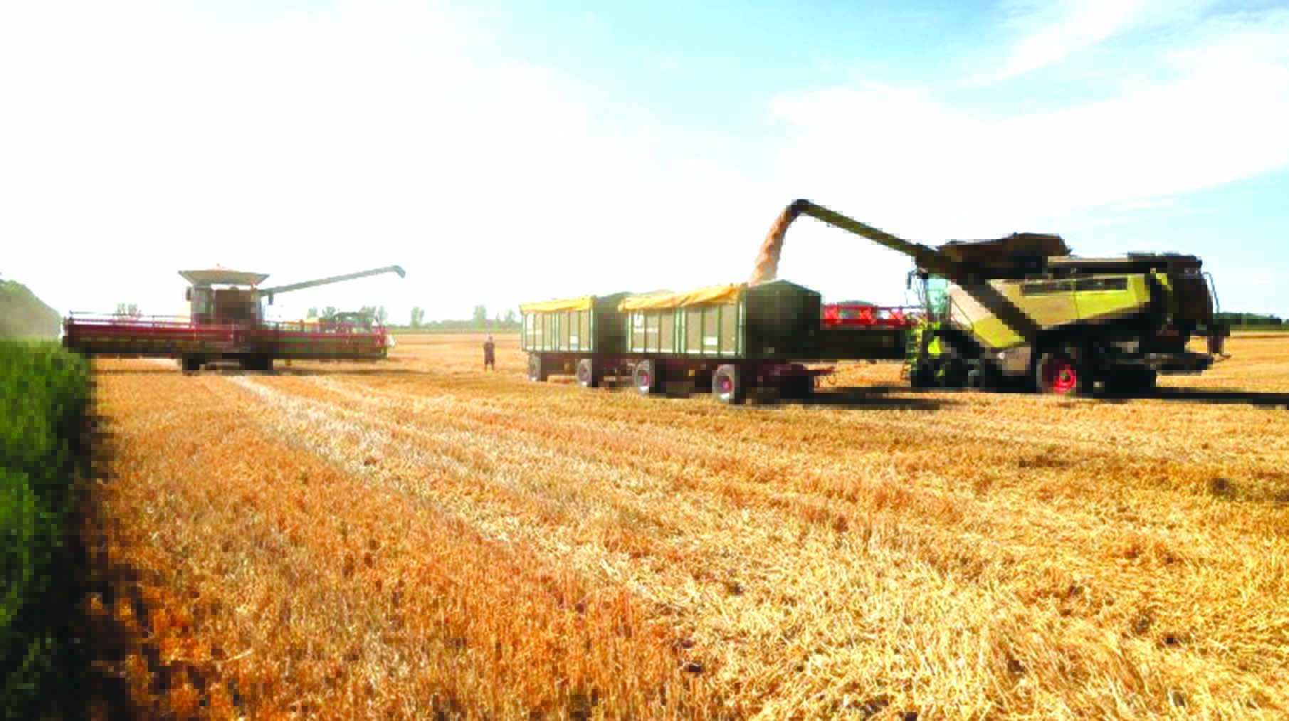World food prices extend drop