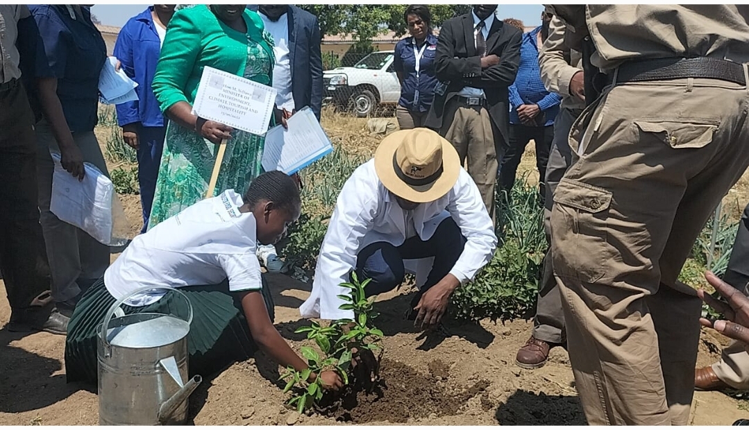 NEW: ‘Let’s prioritise planting trees’
