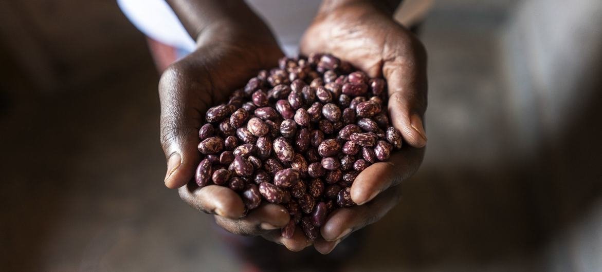 NEW: Global food prices decline but remain near all-time highs
