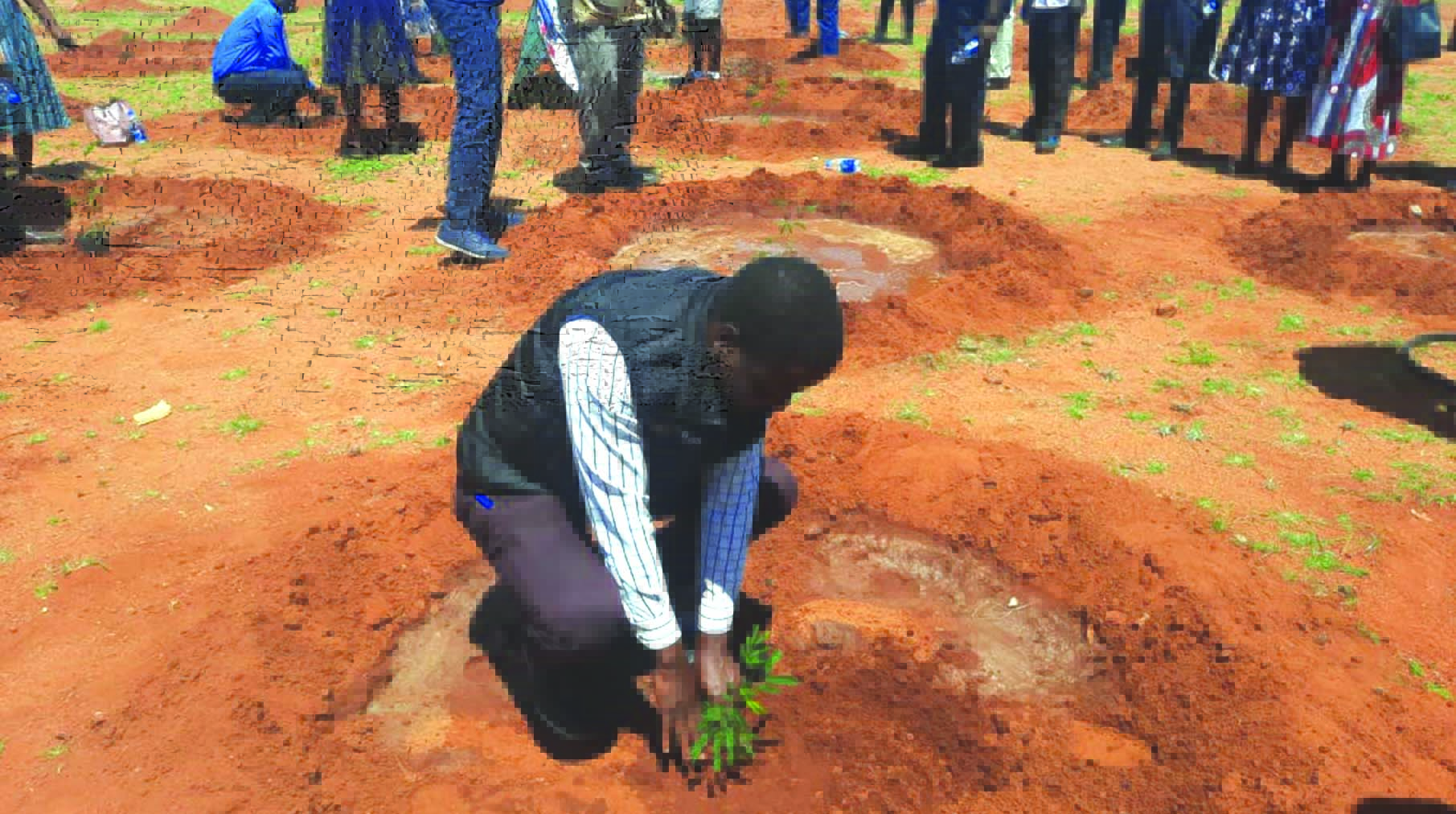 US$116 000 boost for tree planting drive