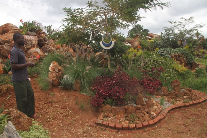 Fighting crime through re-greening