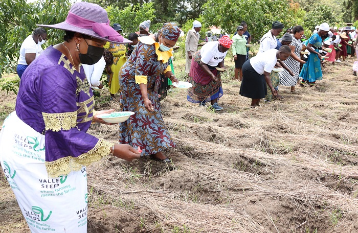 Zim poised for high nutrition, food security as First Lady’s Agric4She spreads countrywide
