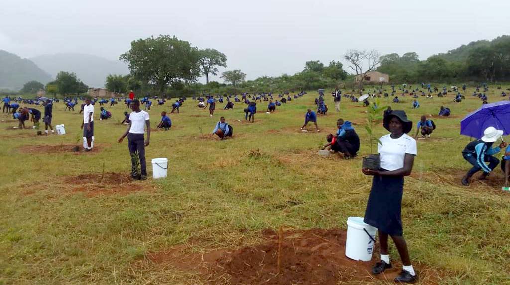 First Lady calls on Zim to join green economies drive