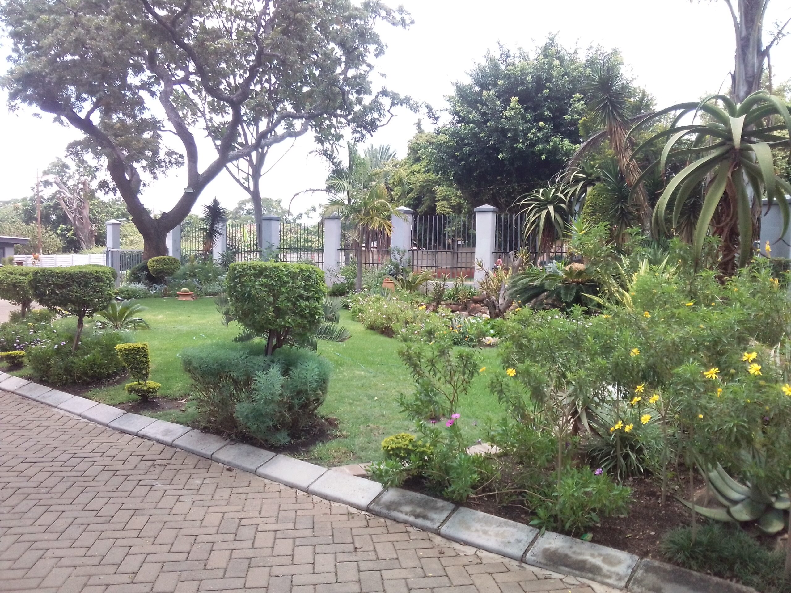 Colour is everything in a garden