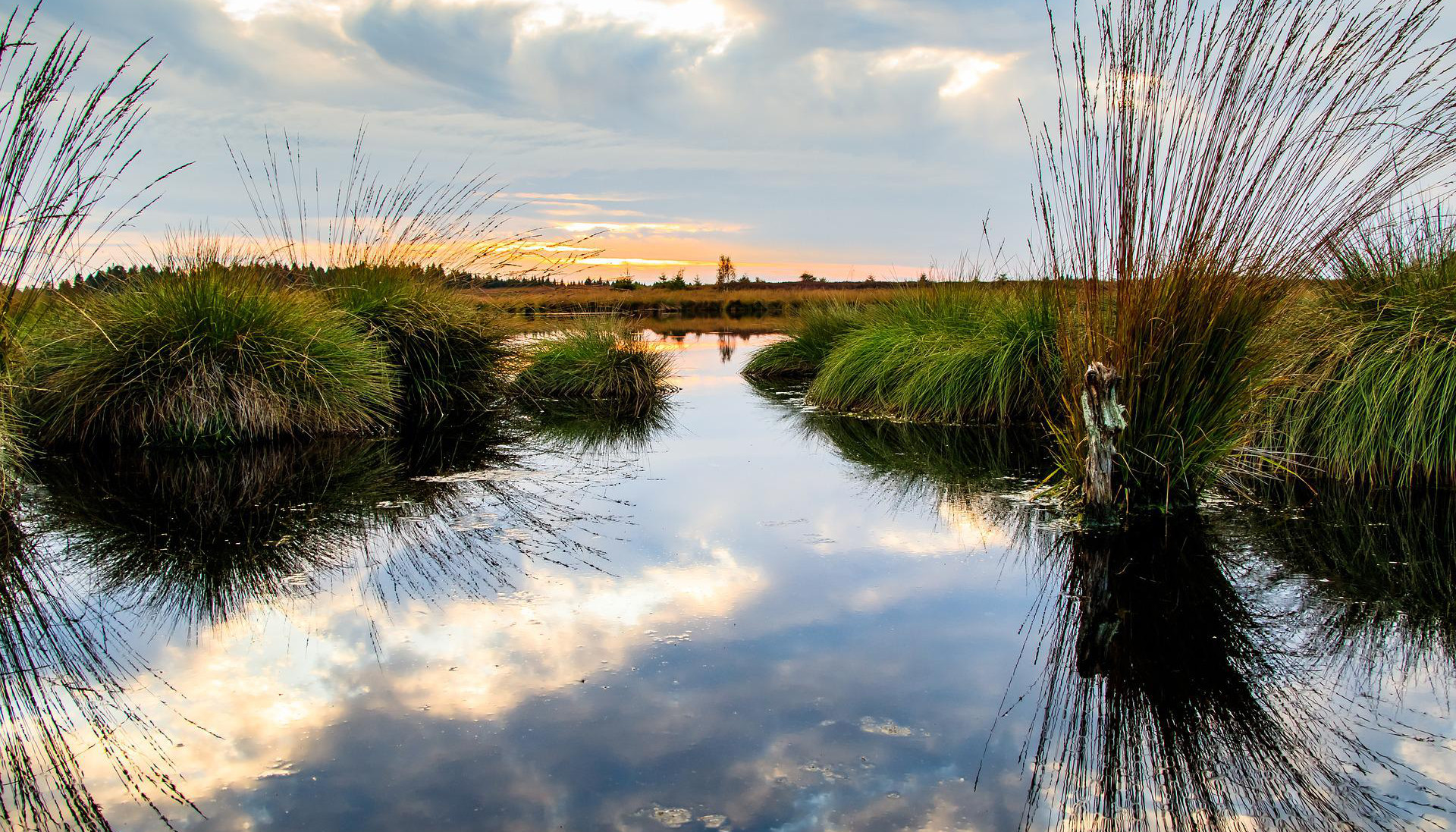 NEW: Loss of world’s wetlands must urgently be reversed – Convention on Wetlands