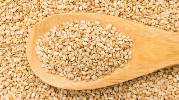 Demand for sesame seeds growing