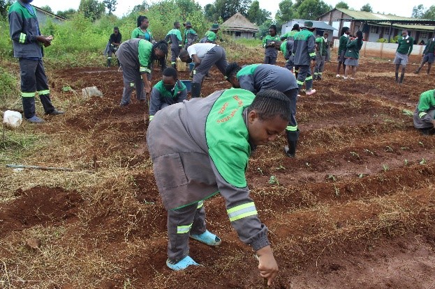 School sharpens learners’ farming skills