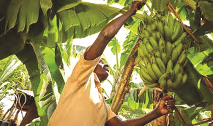 Tapping into the Nigeria market