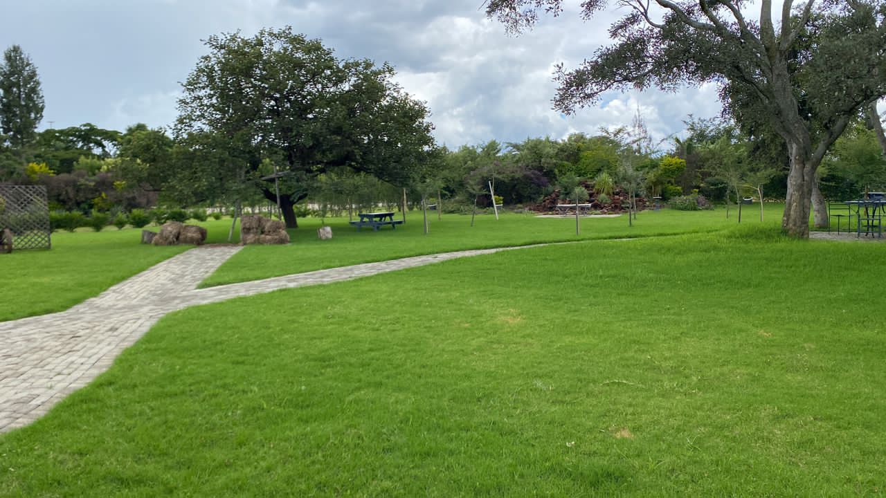 A GREEN PARADISE