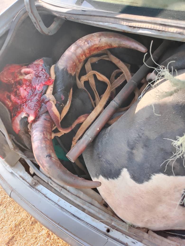 Cop accomplice gets 10 years for stock theft