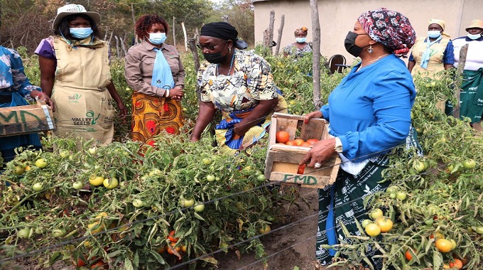 First Lady’s Agric4She Programme empowers Mash Central women . . . Beneficiaries praise Amai Mnangagwa for support