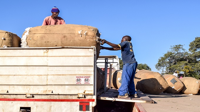 Cotton farmers pocket US$2,6m
