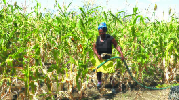 Life-changing projects charm Masvingo
