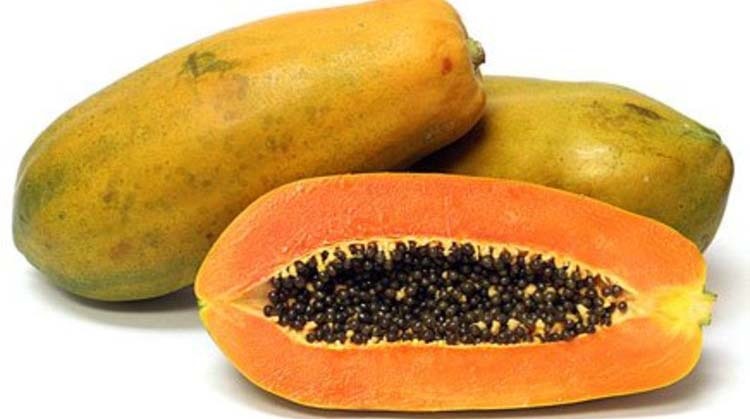 How to grow pawpaws