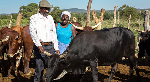 Livestock farmers confident of US$2bn economy