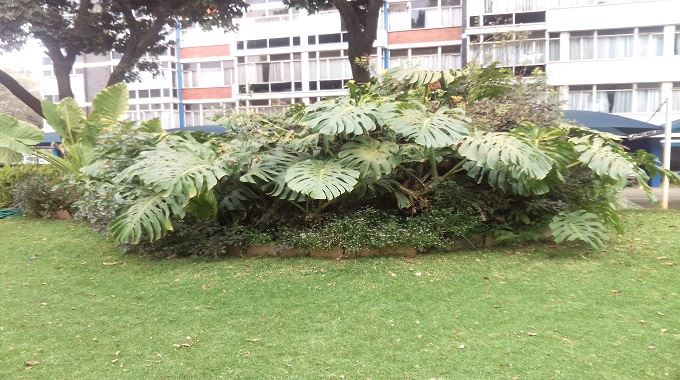 Pleasure moments in a flat garden