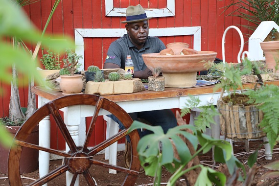 Healthy homes show a success